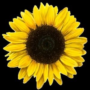 Meet your Posher, Ruth